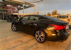 نيسان ماكسيما